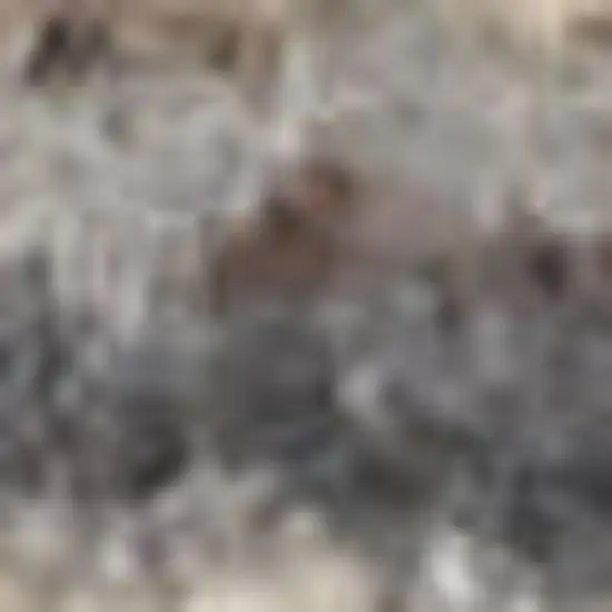 Gray And Gold Ombre Area Rug With Fringe Photo 2