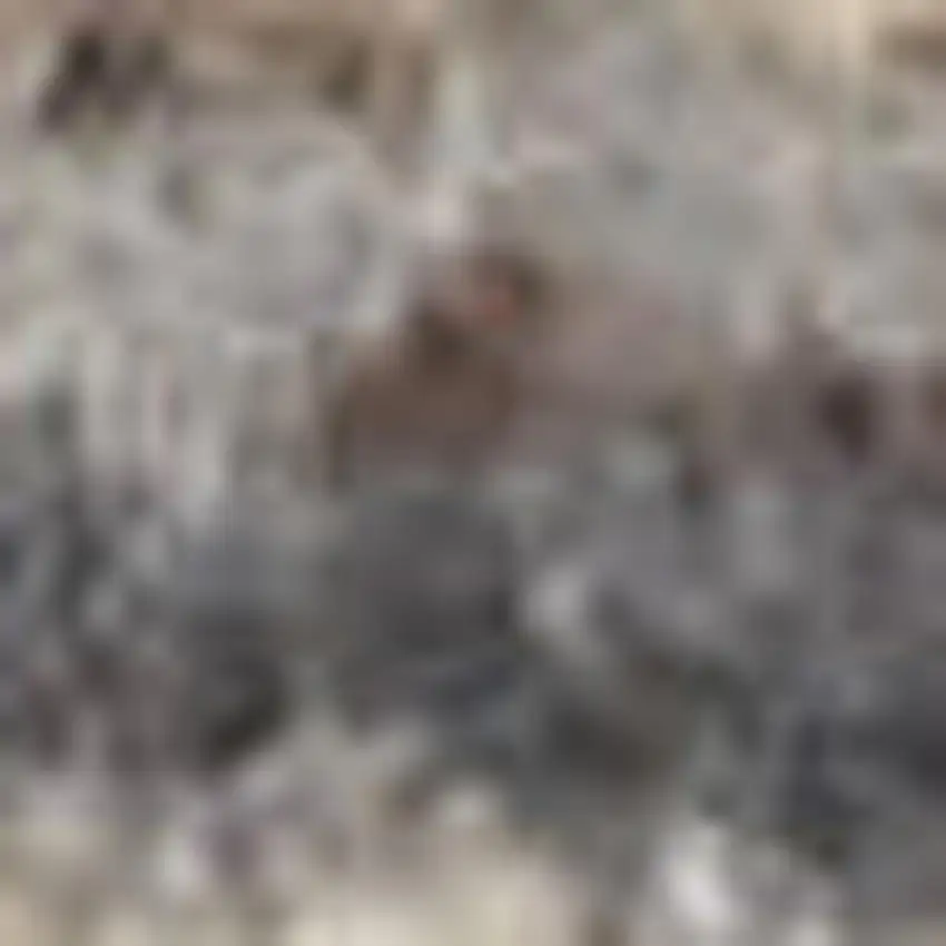 Gray And Gold Ombre Area Rug With Fringe Photo 2