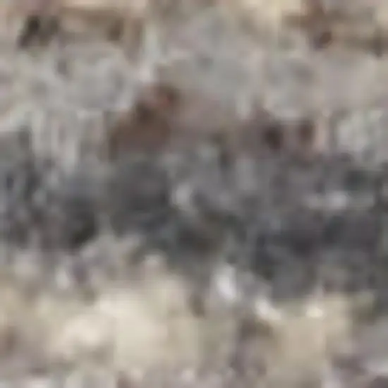 Gray And Gold Ombre Area Rug With Fringe Photo 3