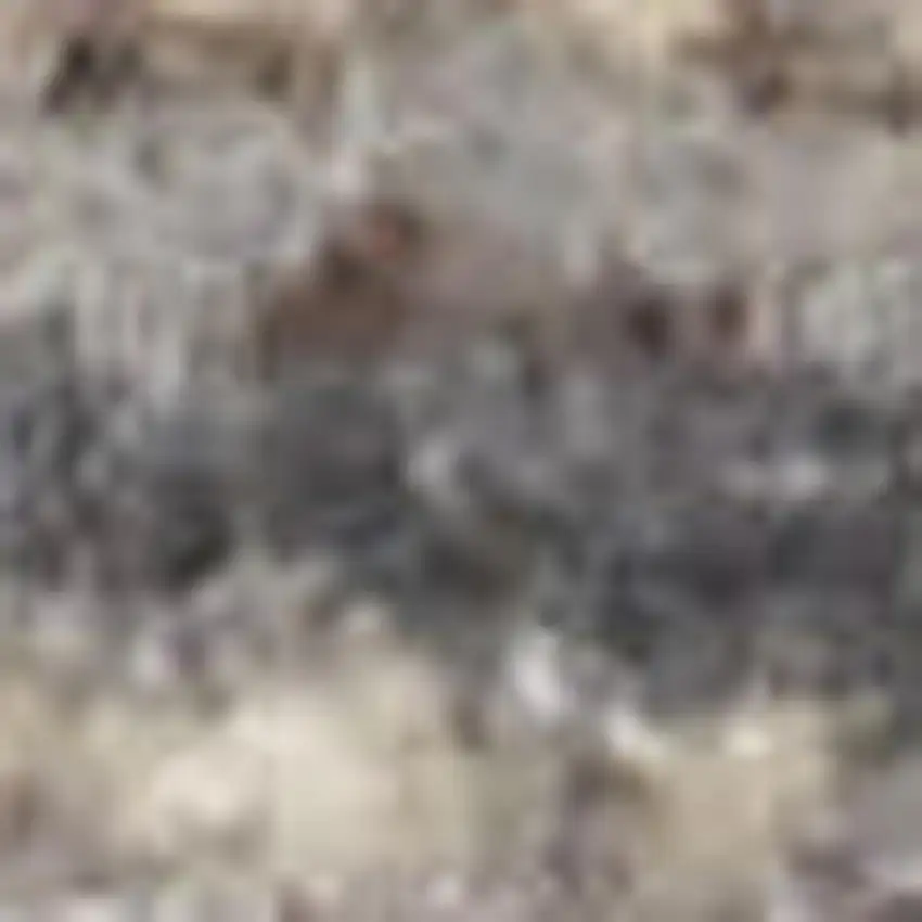 Gray And Gold Ombre Area Rug With Fringe Photo 3