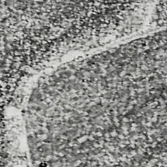 Gray And Ivory Abstract Washable Area Rug With UV Protection Photo 4