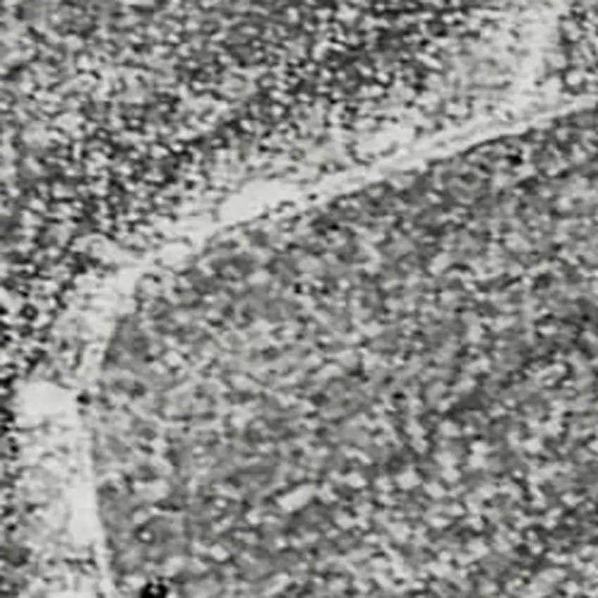 Gray And Ivory Abstract Washable Area Rug With UV Protection Photo 4