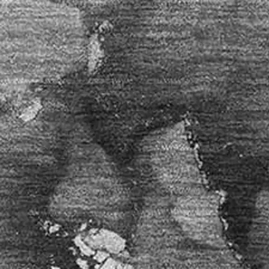 Gray And Ivory Abstract Washable Area Rug With UV Protection Photo 6