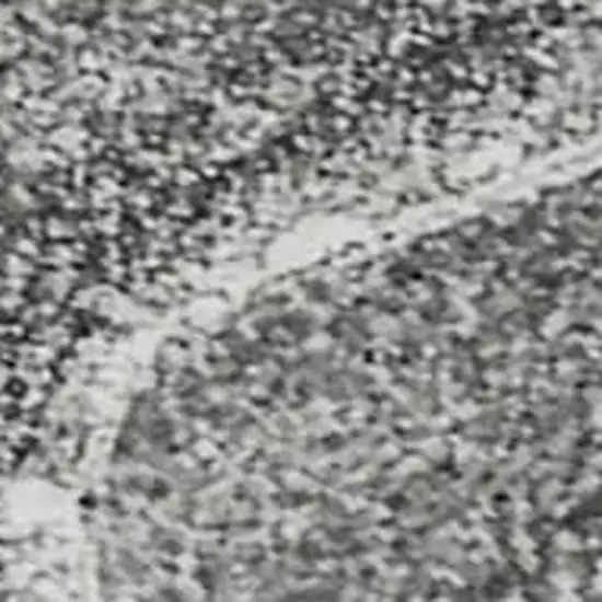 Gray And Ivory Abstract Washable Area Rug With UV Protection Photo 4