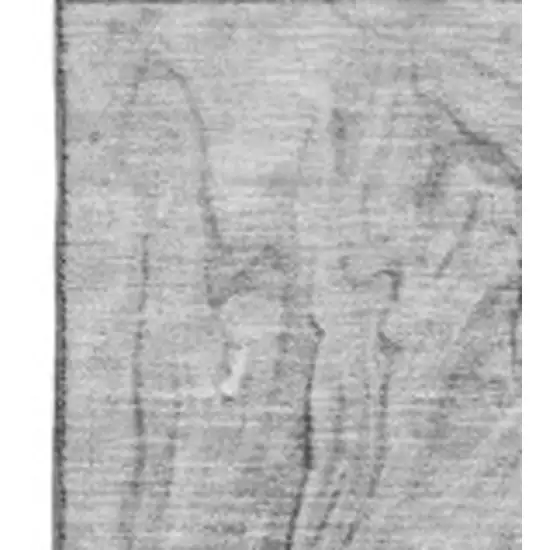 Gray And Ivory Abstract Washable Area Rug With UV Protection Photo 3