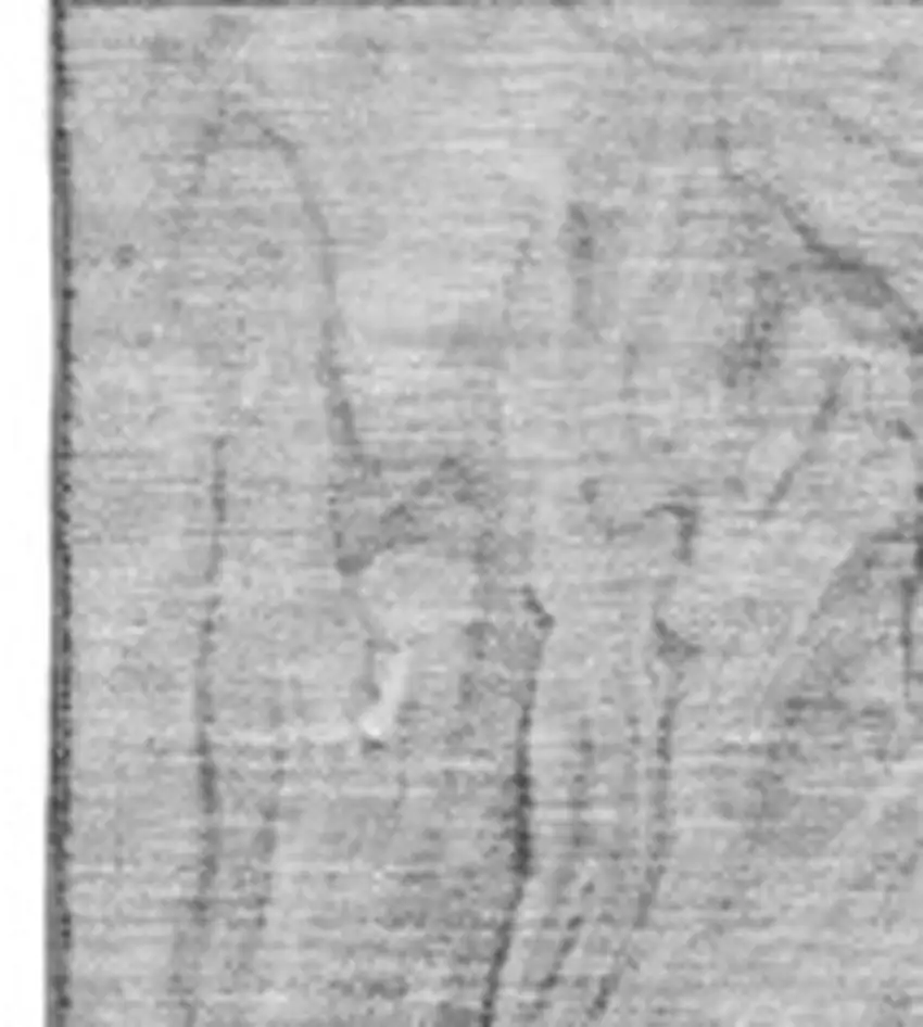 Gray And Ivory Abstract Washable Area Rug With UV Protection Photo 3