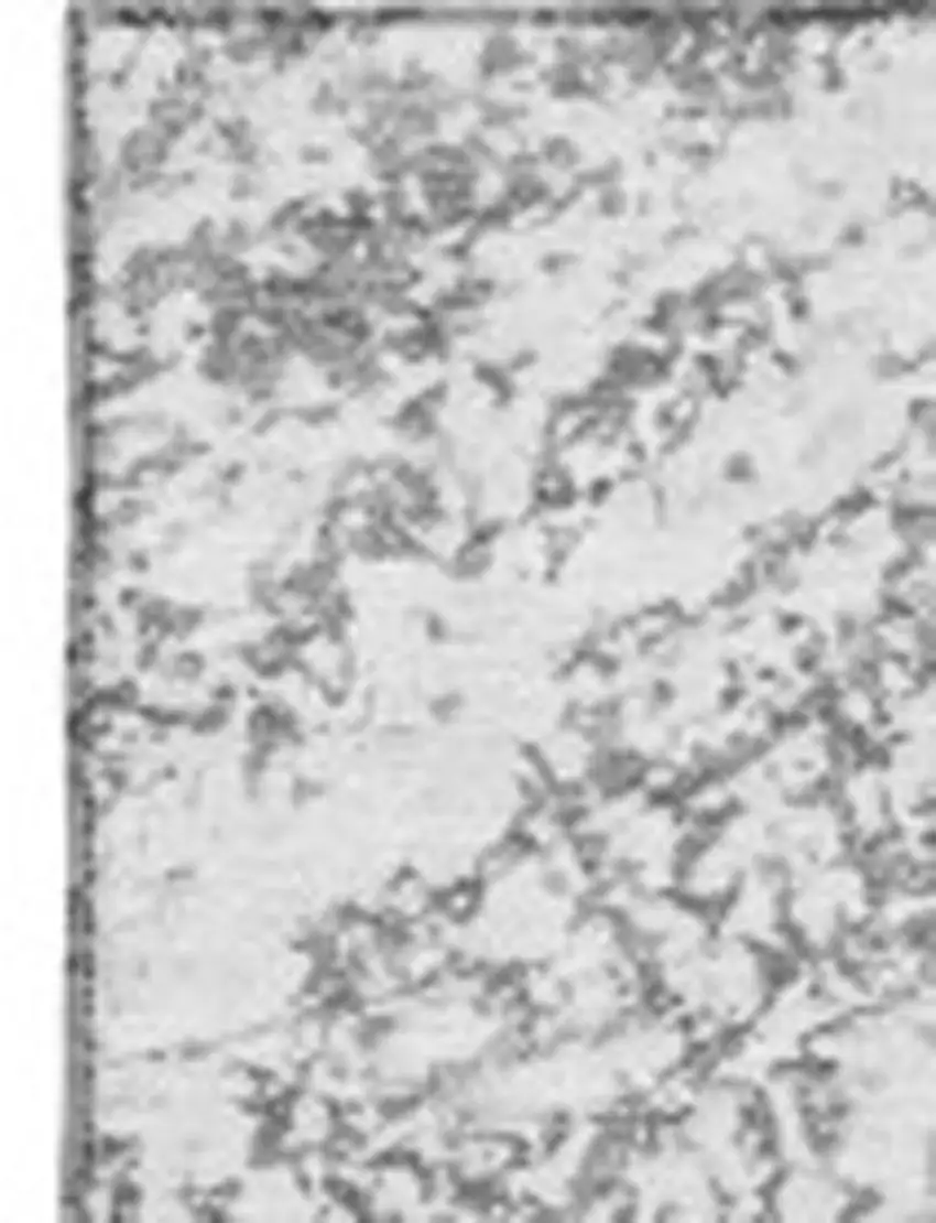 Gray And Ivory Abstract Washable Area Rug With UV Protection Photo 3