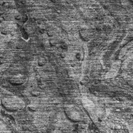 Gray And Ivory Abstract Washable Area Rug With UV Protection Photo 3