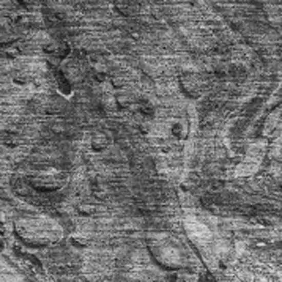 Gray And Ivory Abstract Washable Area Rug With UV Protection Photo 8