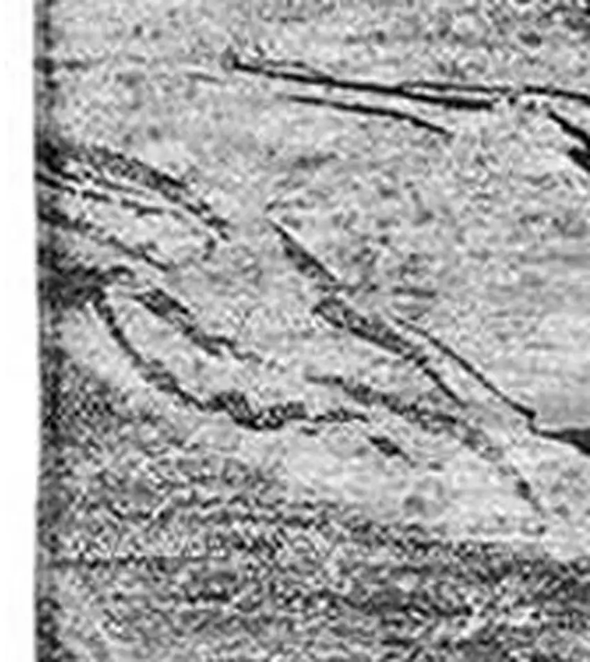 Gray And Ivory Abstract Washable Area Rug With UV Protection Photo 4