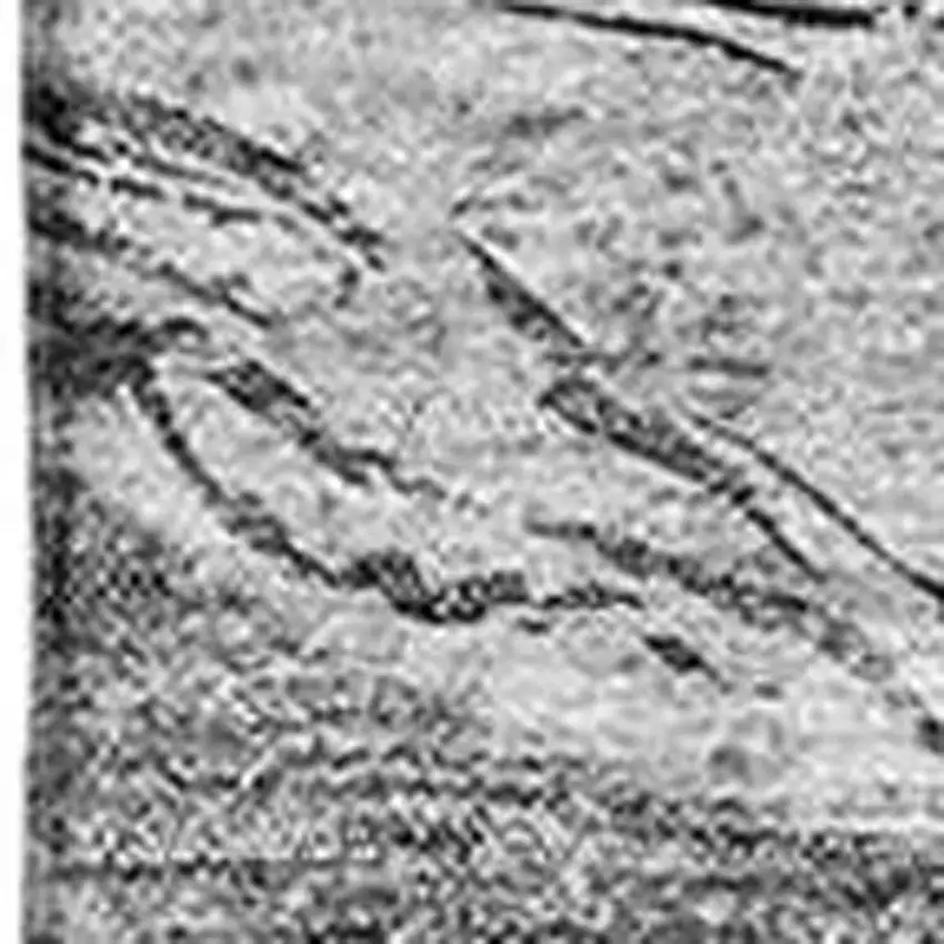 Gray And Ivory Abstract Washable Area Rug With UV Protection Photo 5