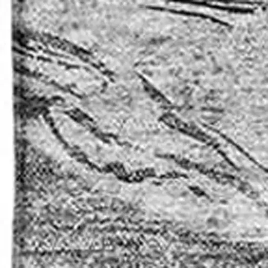 Gray And Ivory Abstract Washable Area Rug With UV Protection Photo 5