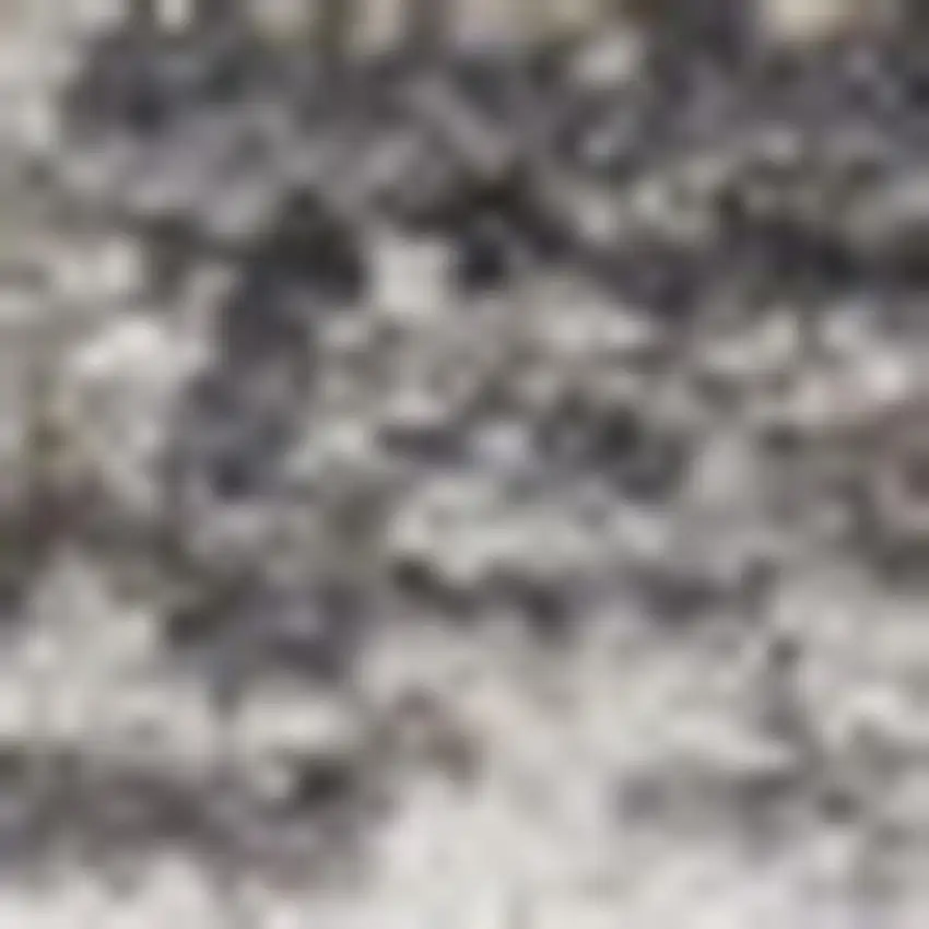 Gray And Ivory Floral Distressed Area Rug Photo 2