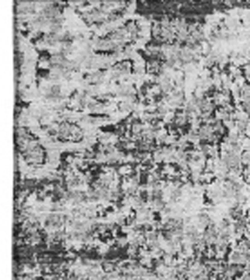 Gray And Ivory Floral Washable Area Rug With UV Protection Photo 3