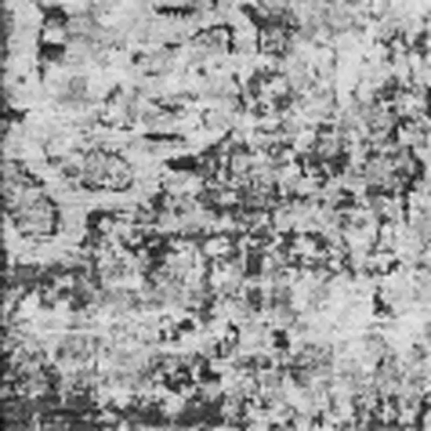 Gray And Ivory Floral Washable Area Rug With UV Protection Photo 3