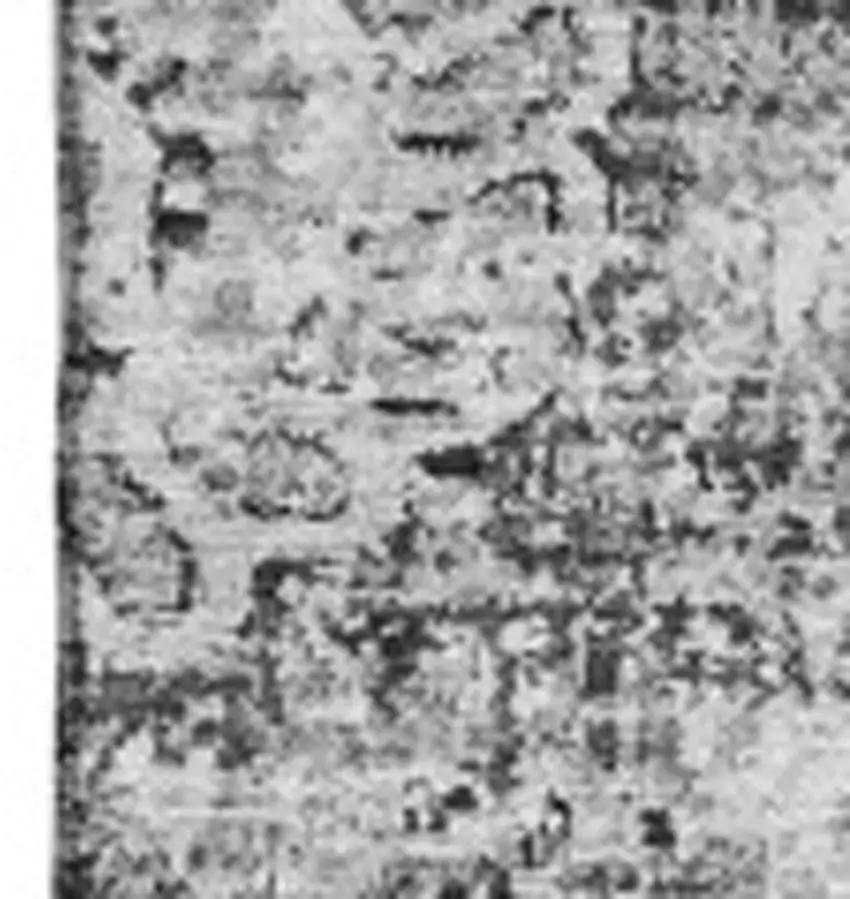 Gray And Ivory Floral Washable Area Rug With UV Protection Photo 3