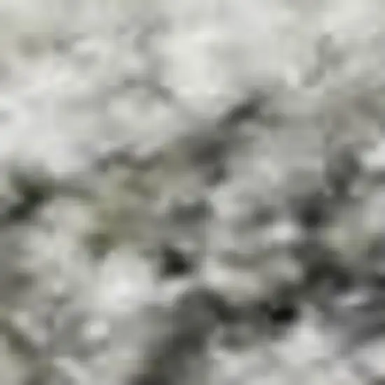 Gray And Ivory Oriental Washable Area Rug With UV Protection Photo 2