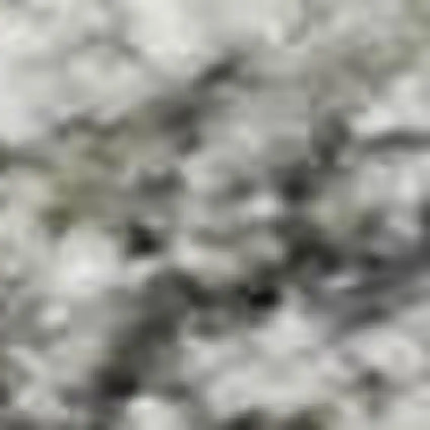 Gray And Ivory Oriental Washable Area Rug With UV Protection Photo 2