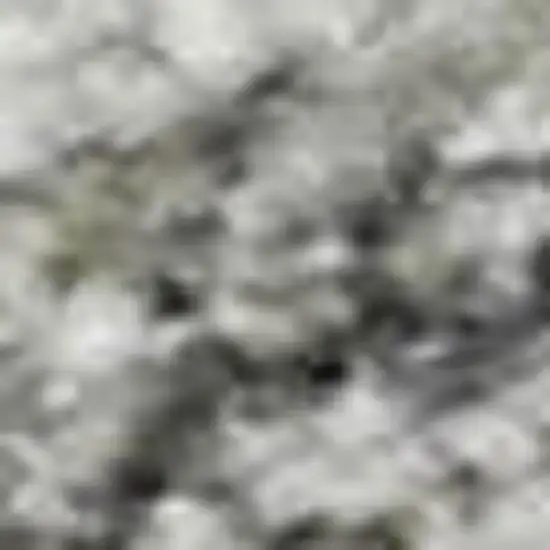 Gray And Ivory Oriental Washable Area Rug With UV Protection Photo 2