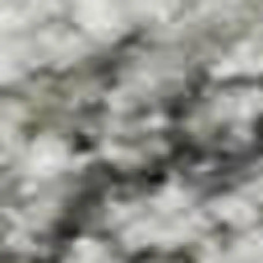 Gray And Ivory Oriental Washable Area Rug With UV Protection Photo 2