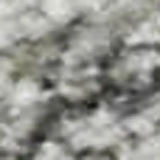 Gray And Ivory Oriental Washable Area Rug With UV Protection Photo 2