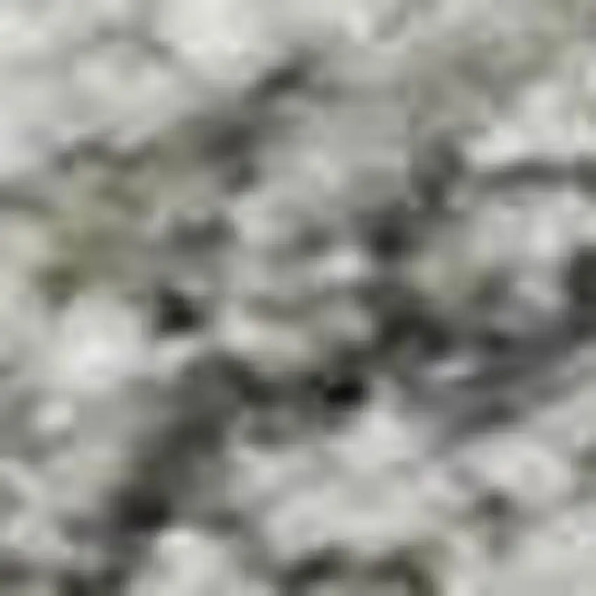 Gray And Ivory Oriental Washable Area Rug With UV Protection Photo 2