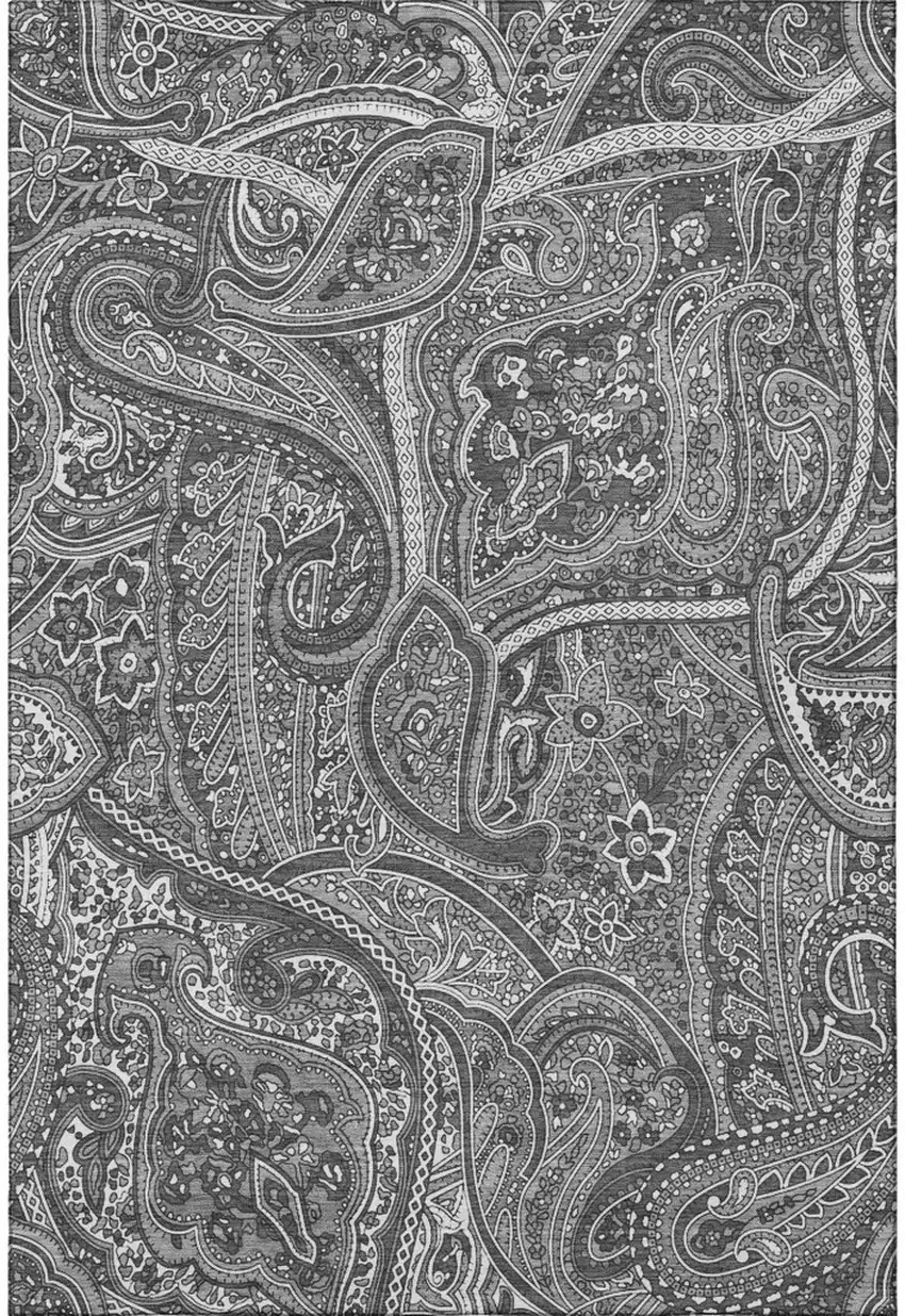 Gray And Ivory Paisley Washable Area Rug With UV Protection Photo 4