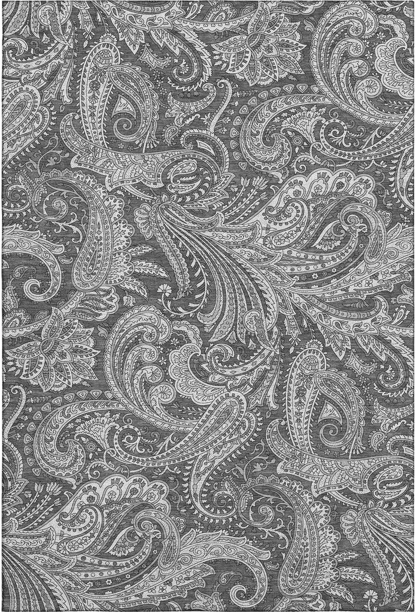 Gray And Ivory Paisley Washable Area Rug With UV Protection Photo 2