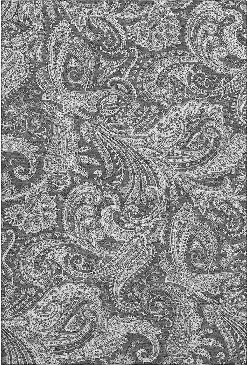 Gray And Ivory Paisley Washable Area Rug With UV Protection Photo 2
