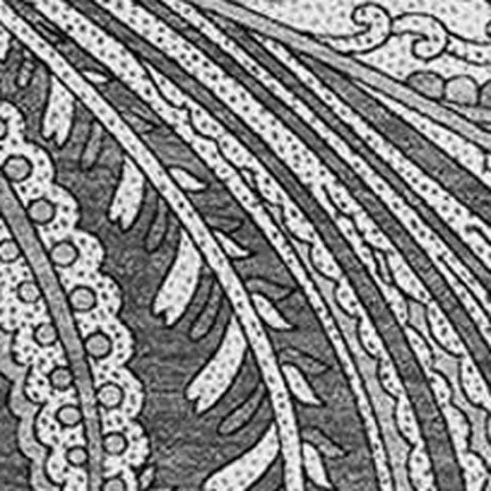 Gray And Ivory Paisley Washable Area Rug With UV Protection Photo 5