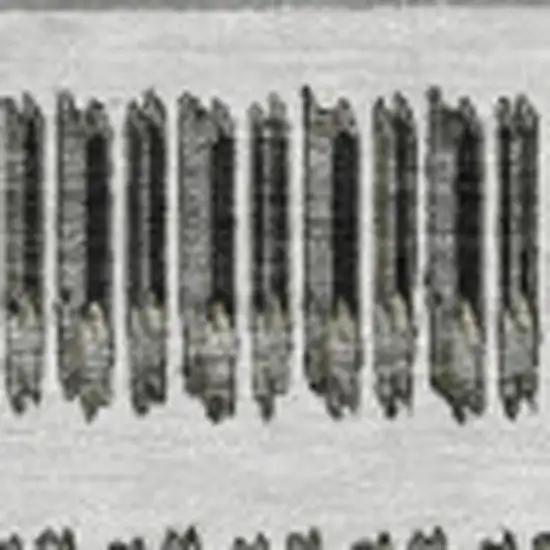 Gray And Ivory Striped Washable Area Rug With UV Protection Photo 4