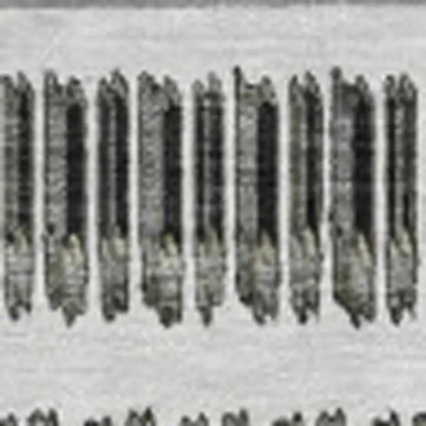 Gray And Ivory Striped Washable Area Rug With UV Protection Photo 4