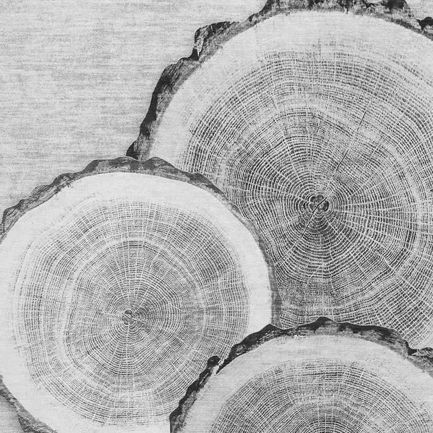 Gray And Ivory Woodland Lodge Washable Area Rug With UV Protection Photo 3