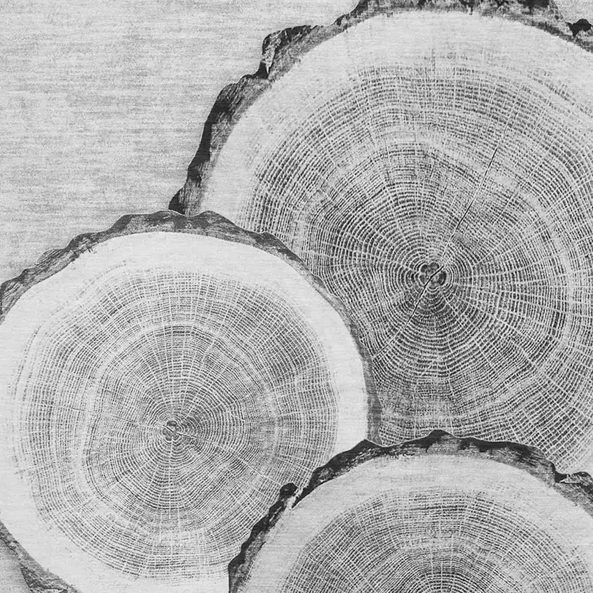 Gray And Ivory Woodland Lodge Washable Area Rug With UV Protection Photo 3