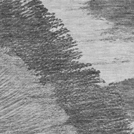 Gray And Ivory Woodland Lodge Washable Area Rug With UV Protection Photo 3