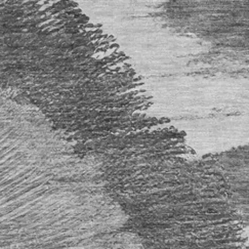 Gray And Ivory Woodland Lodge Washable Area Rug With UV Protection Photo 3