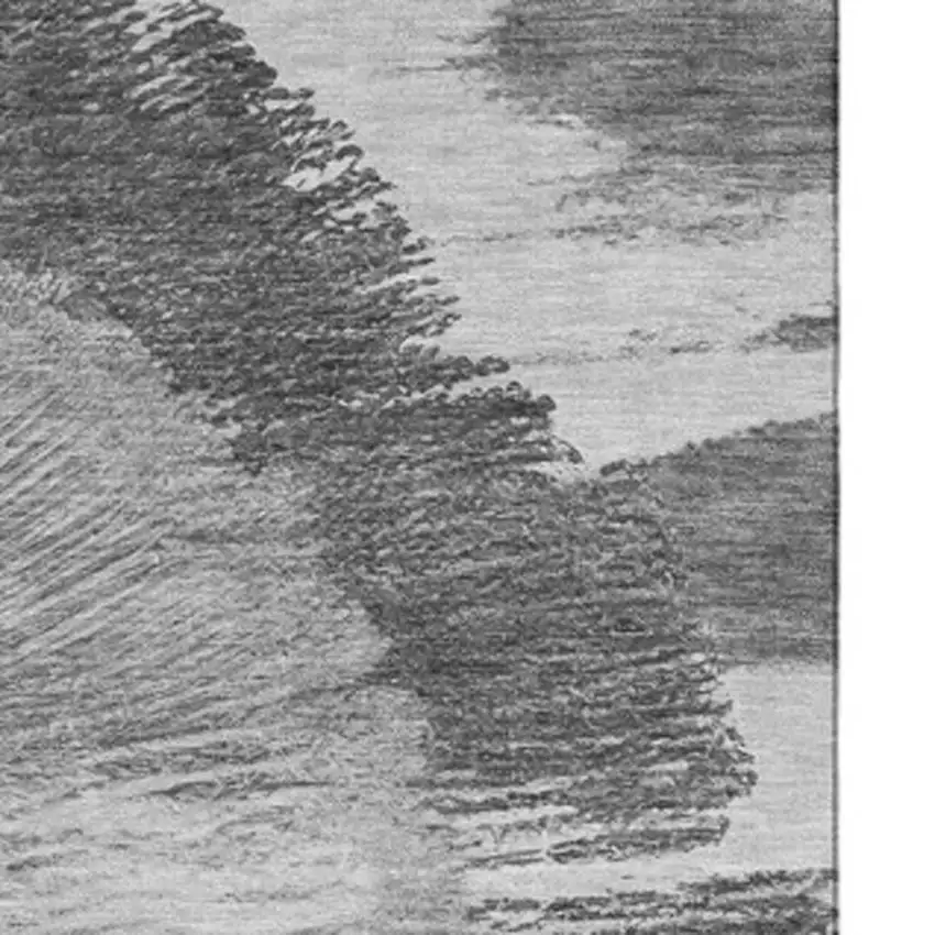 Gray And Ivory Woodland Lodge Washable Area Rug With UV Protection Photo 4