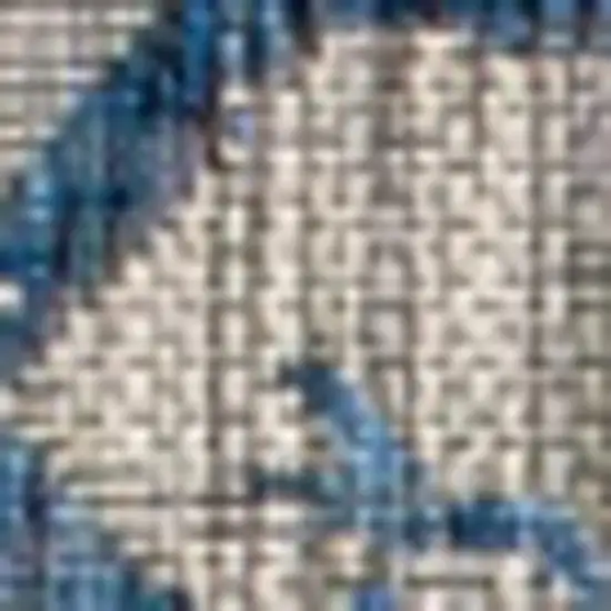 Gray And Navy Blue Medallion Indoor Outdoor Area Rug Photo 2