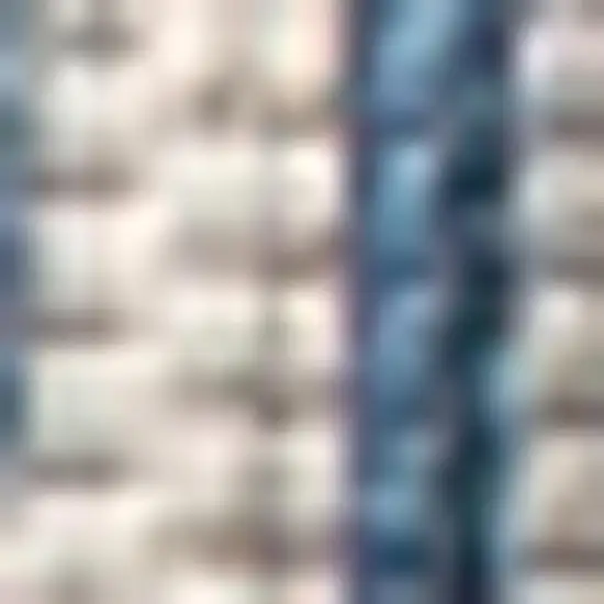 Gray And Navy Blue Medallion Indoor Outdoor Area Rug Photo 2