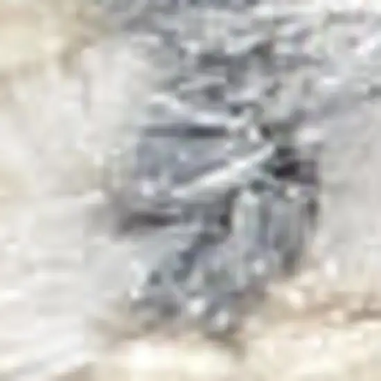 Gray And Orange Floral Medallion Distressed Washable Area Rug Photo 2