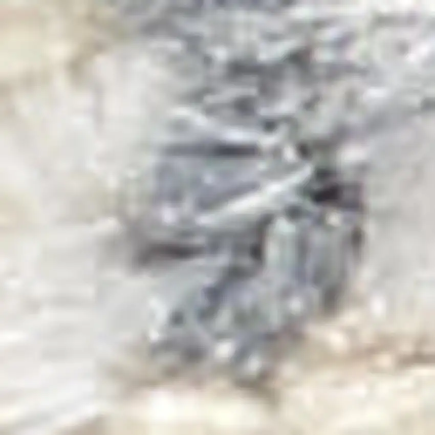 Gray And Orange Floral Medallion Distressed Washable Area Rug Photo 2