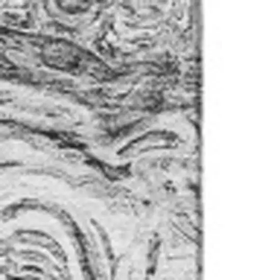 Gray And Silver Abstract Washable Area Rug With UV Protection Photo 2