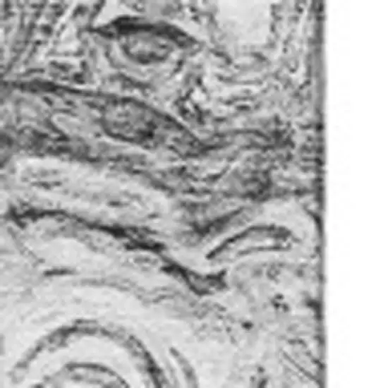 Gray And Silver Abstract Washable Area Rug With UV Protection Photo 2