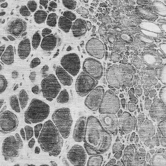 Gray And Silver Abstract Washable Area Rug With UV Protection Photo 2