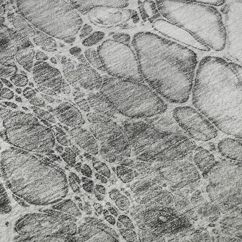 Gray And Silver Abstract Washable Area Rug With UV Protection Photo 9