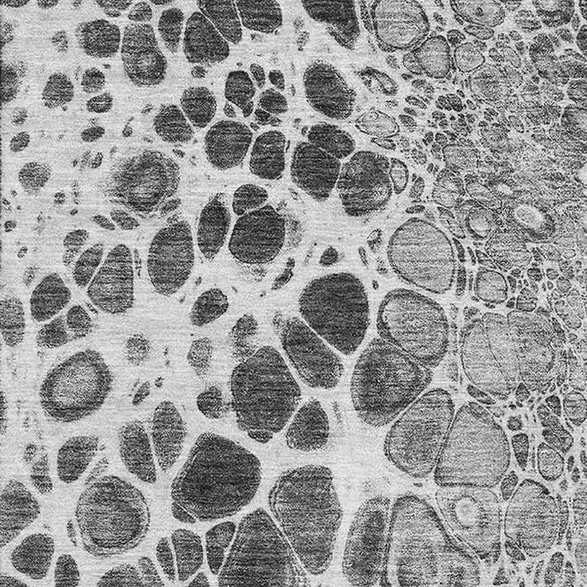 Gray And Silver Abstract Washable Area Rug With UV Protection Photo 2