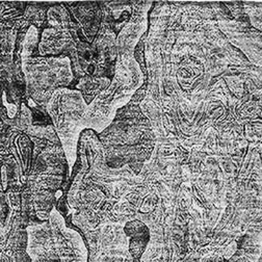 Gray And Silver Abstract Washable Area Rug With UV Protection Photo 3