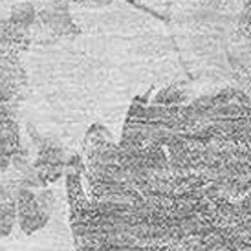 Gray And Silver Floral Washable Area Rug With UV Protection Photo 5