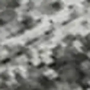 Photo of Gray And Silver Oriental Washable Area Rug With UV Protection