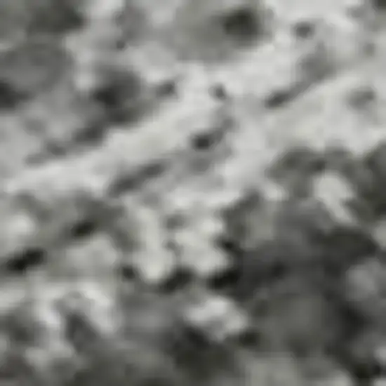 Gray And Silver Oriental Washable Area Rug With UV Protection Photo 1